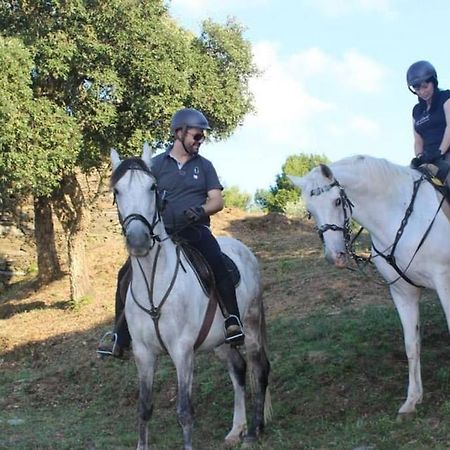 Arrabia Bunga Payva Pension Raiva Buitenkant foto